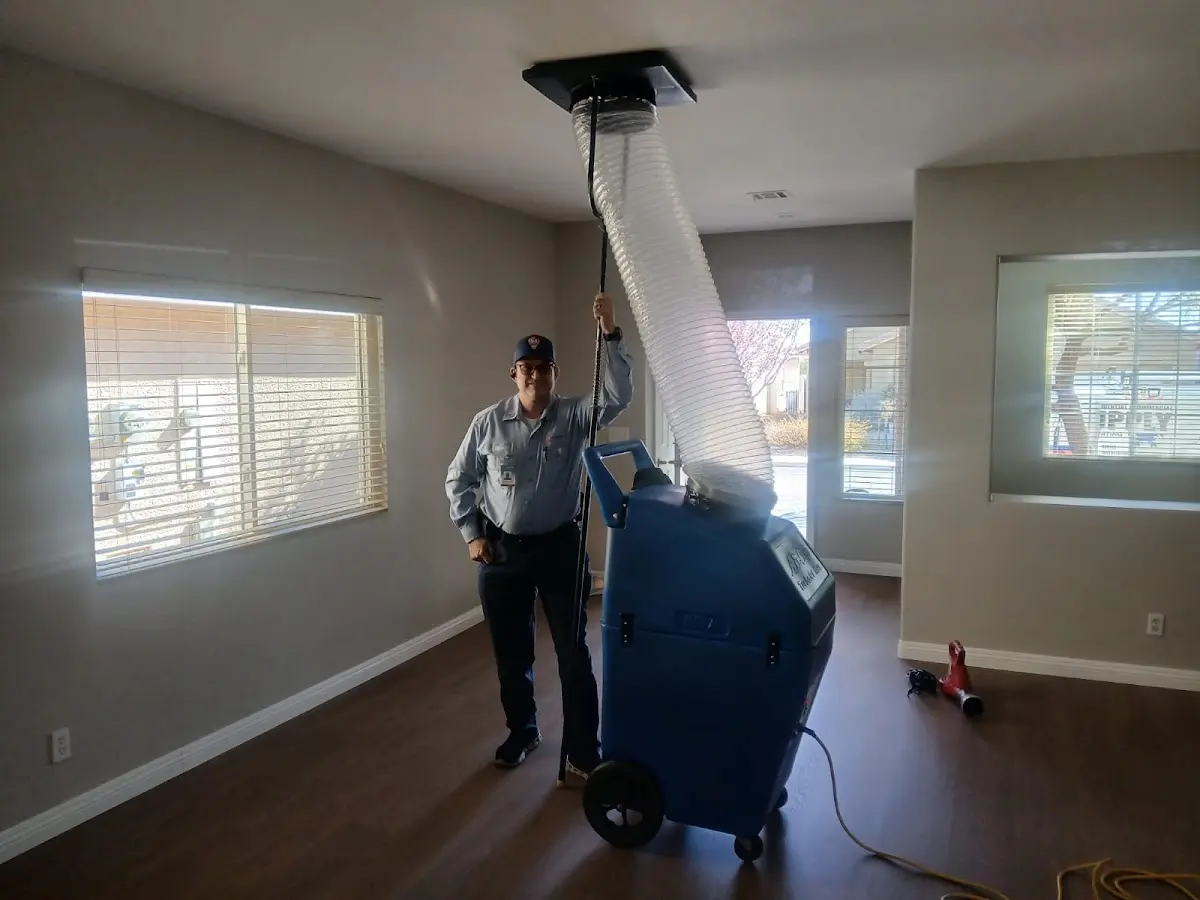 Professional Dryer Vent Cleaning work inside a Windsor home